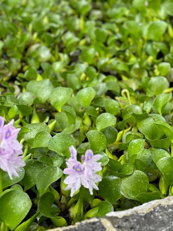 Вилла Solar Nossa Senhora Da Conceicao Капелаш Экстерьер фото